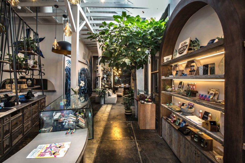 interior shot of cannabis store with wood accents and greenery