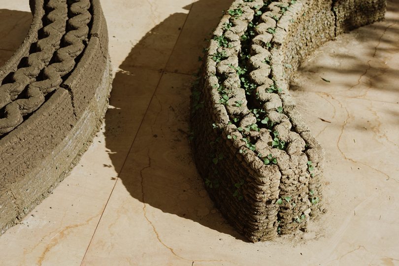 3D printed material with small plants beginning to grow