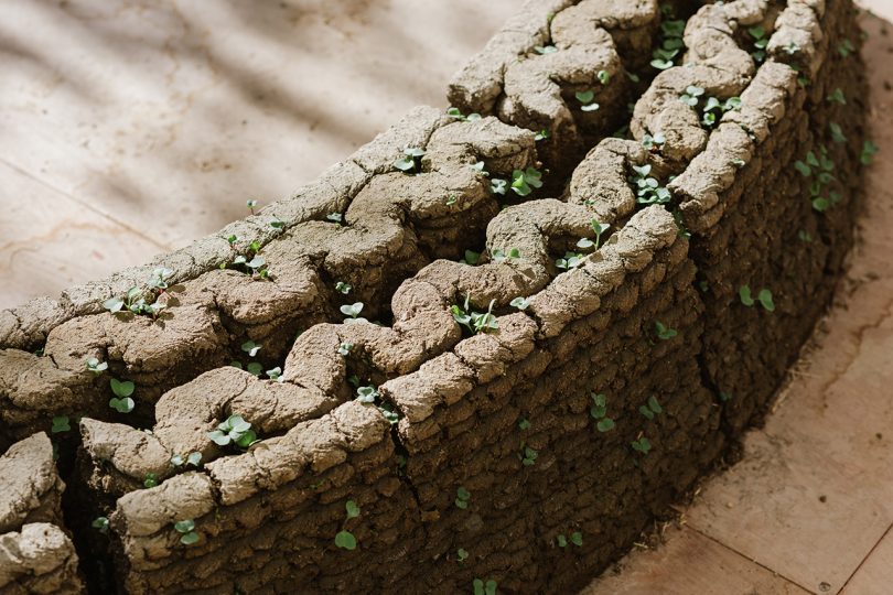 3D printed material with small plants starting to grow