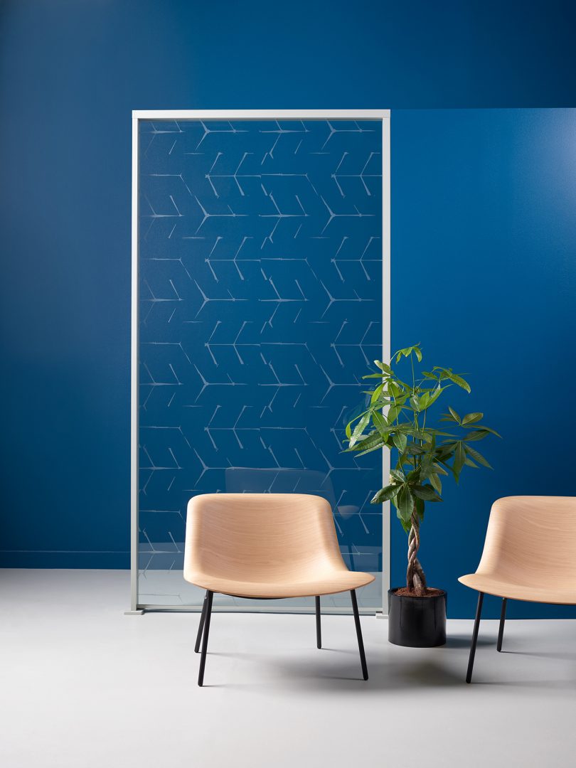 etched glass space divider with two chairs and a plant