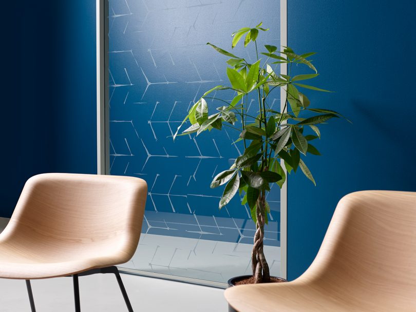 etched glass space divider with two chairs and a plant