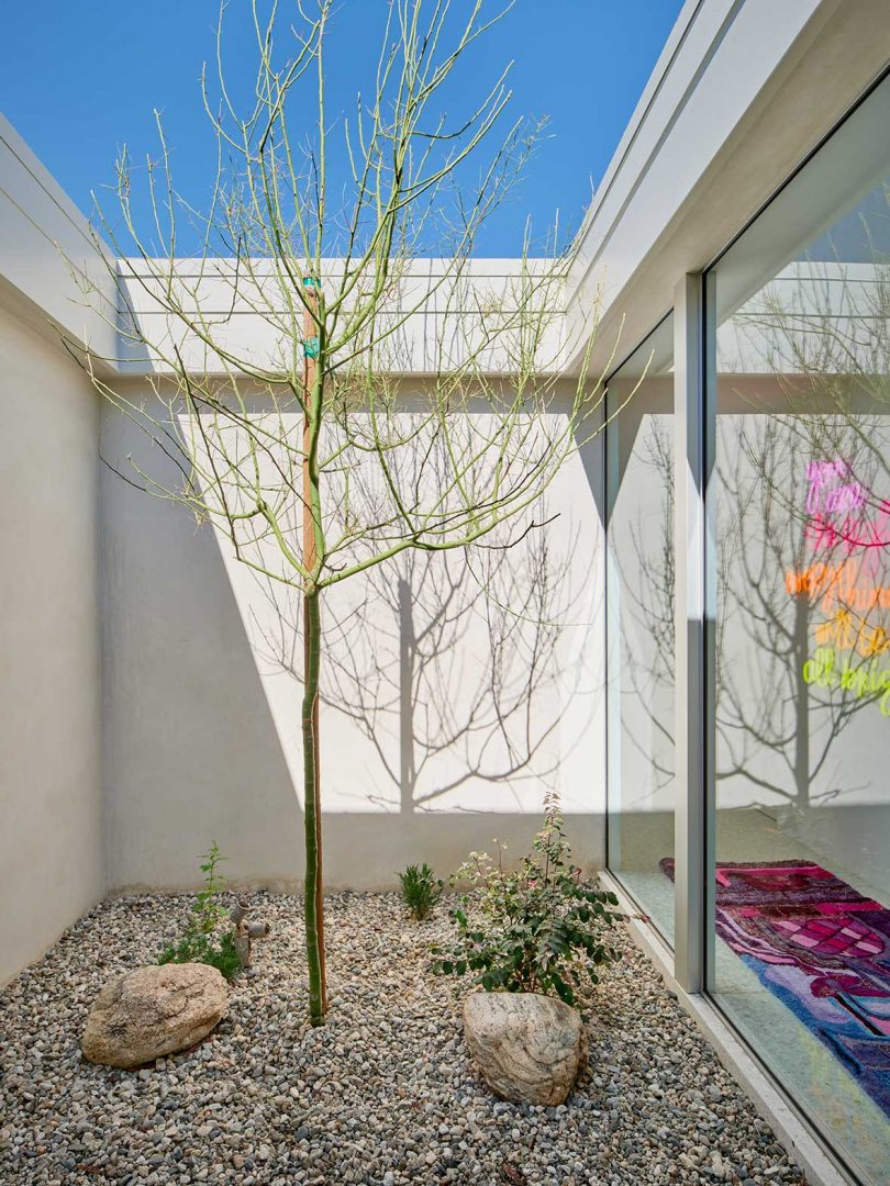 interior courtyard within modern house