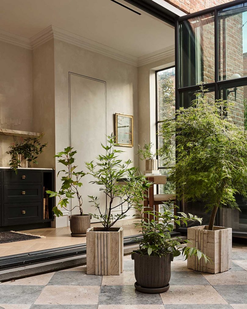 open living space featuring large planted trees in modern planters
