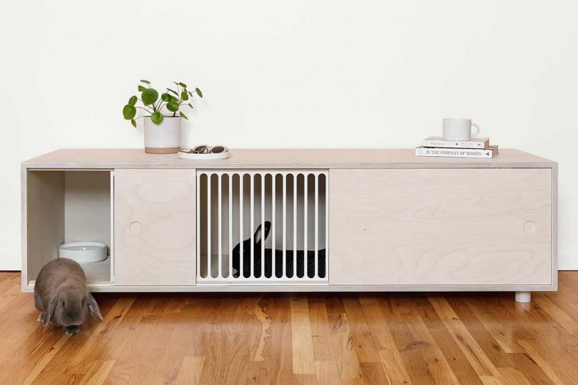 Modern Furniture Designed for Those Living With Pet Rabbits