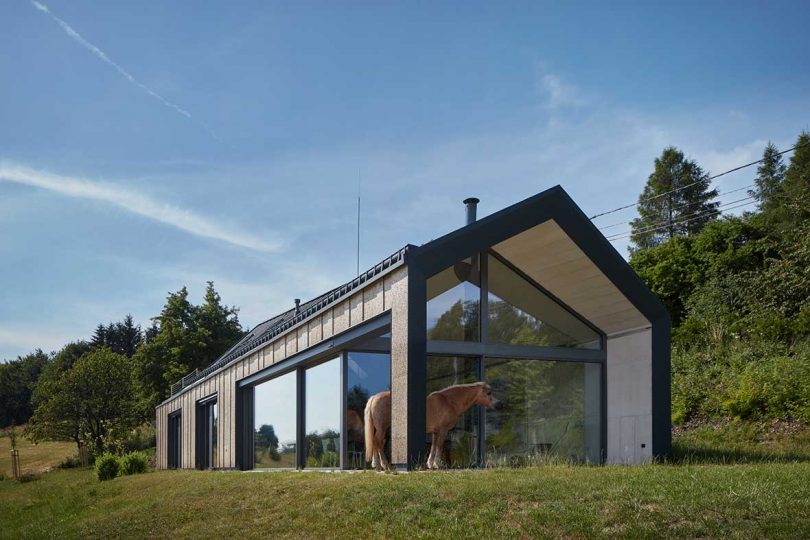 End view of rectangular house with glass wall of windows with horse standing on patio