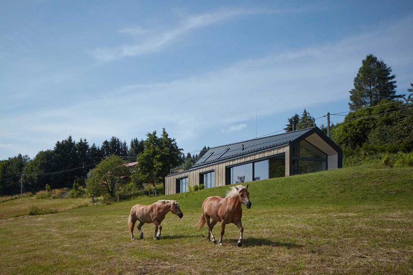 uphill view of modern rectangular house with two horses standing