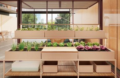 Foster a More Sustainable Future With the Hydroponic Garden