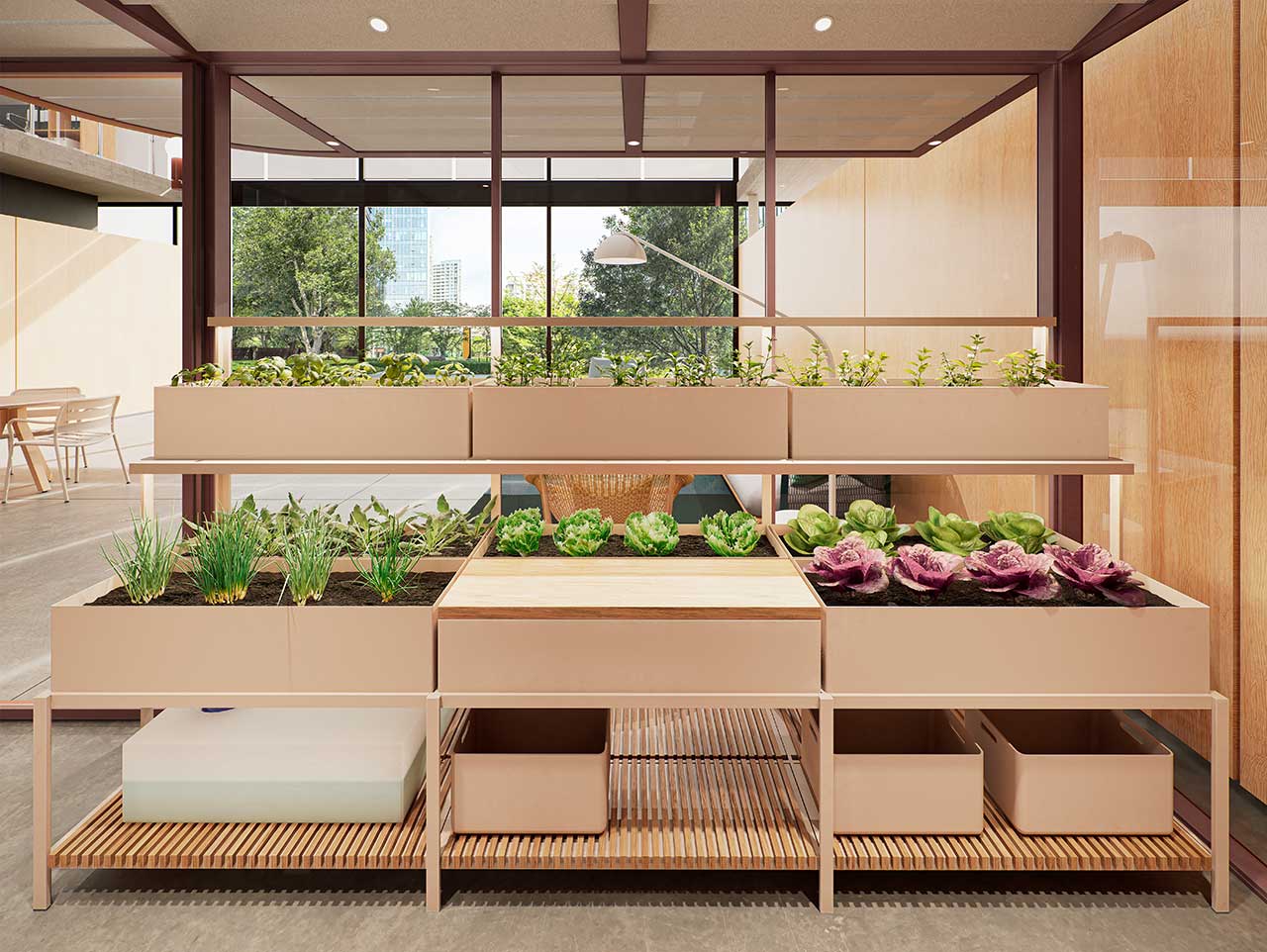 Foster a More Sustainable Future With the Hydroponic Garden
