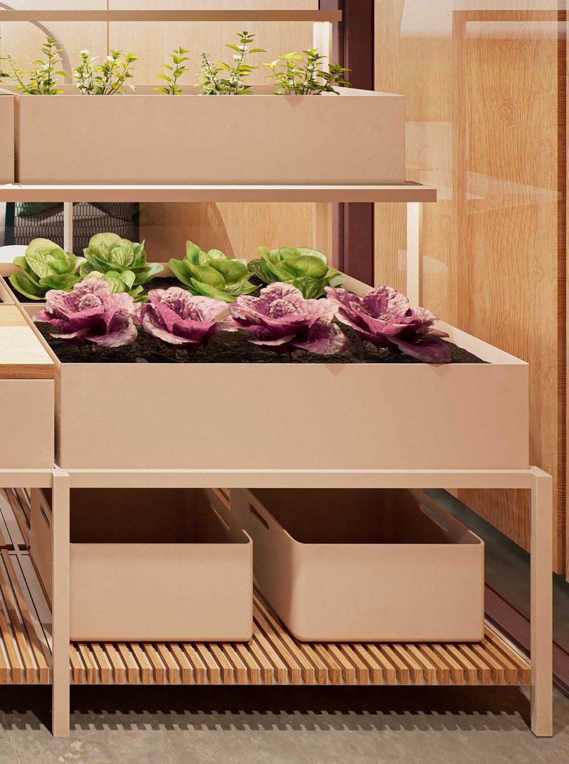 wooden hydroponic garden indoors with growing plants