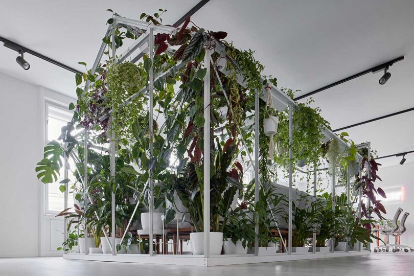 office interior with house-shaped room covered in plants