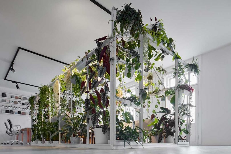 office interior with house-shaped room covered in plants