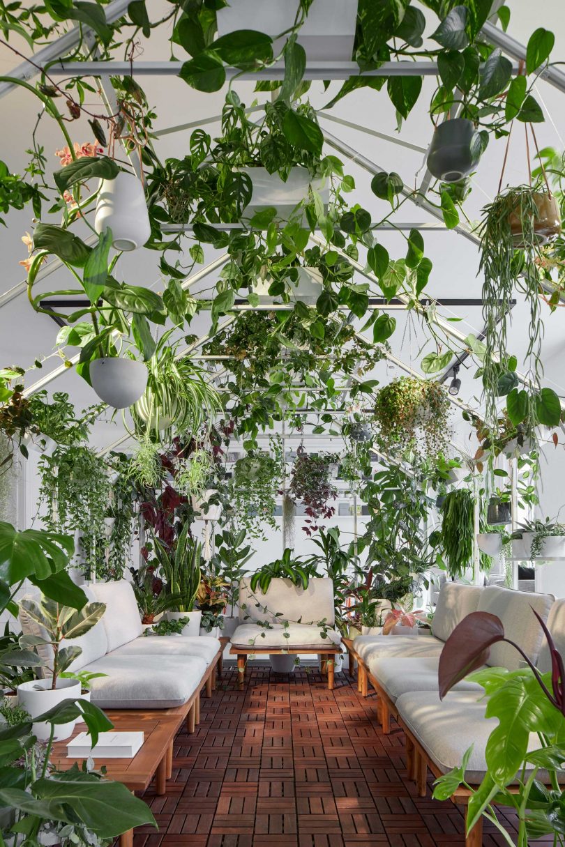 office interior with house-shaped room covered in plants