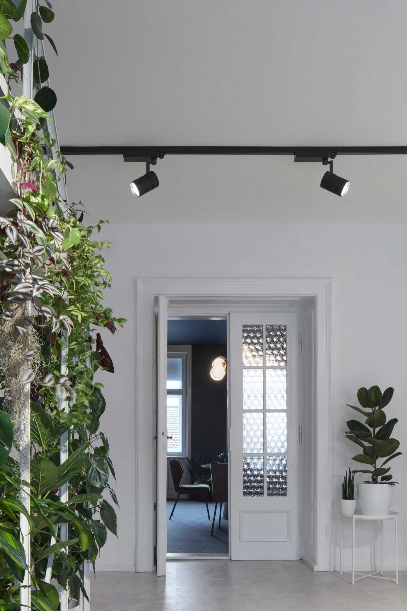white office interior facing double doors and plants