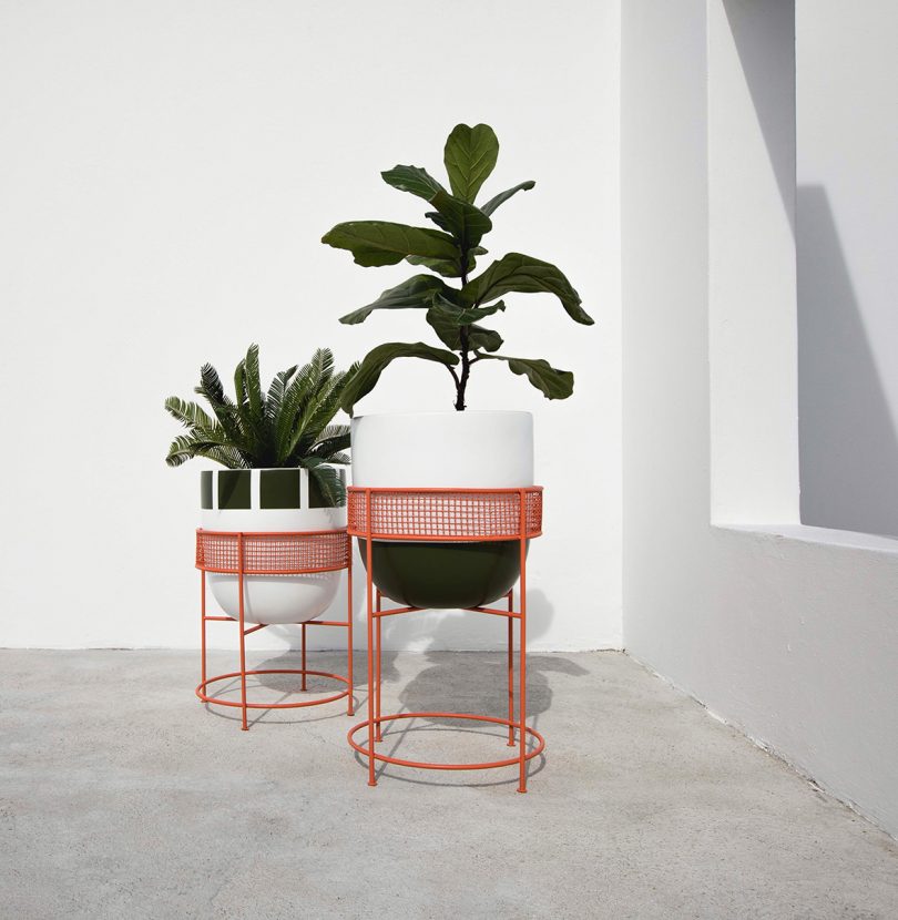 two outdoor planters with plants