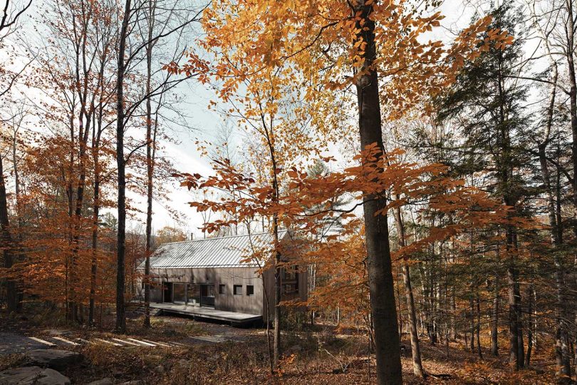 exterior view of rustic cabin in woods during fall