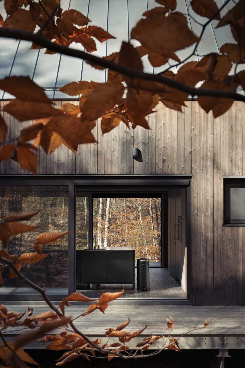 closeup exterior view of rustic modern cottage in woods