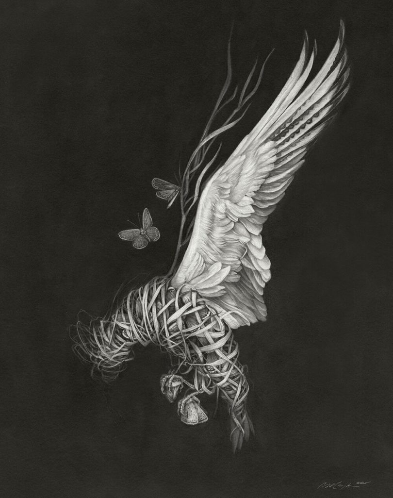 black and white artwork of a bird