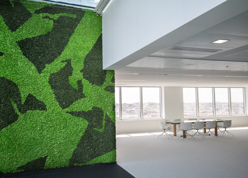 two tone preserved greenery acoustic wall solution in open office space