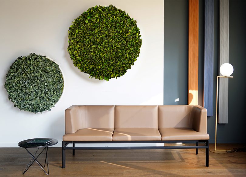 acoustic wall made out of preserved greenery in the shape of two circles hanging above a tan leather sofa