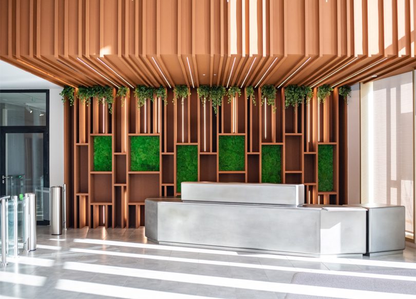 wood and preserved greenery acoustic solution in lobby