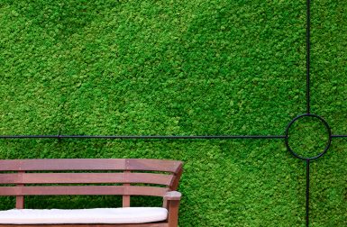 Greenmood’s Acoustic Solutions Are Inspiring the Blooming of Biophilic Design