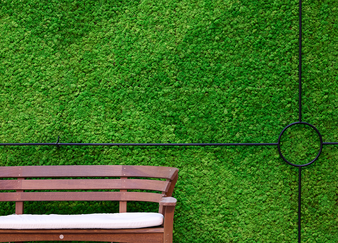 Biophilic Moss Wall Firm Launched by Ayrsonics - DesignWell