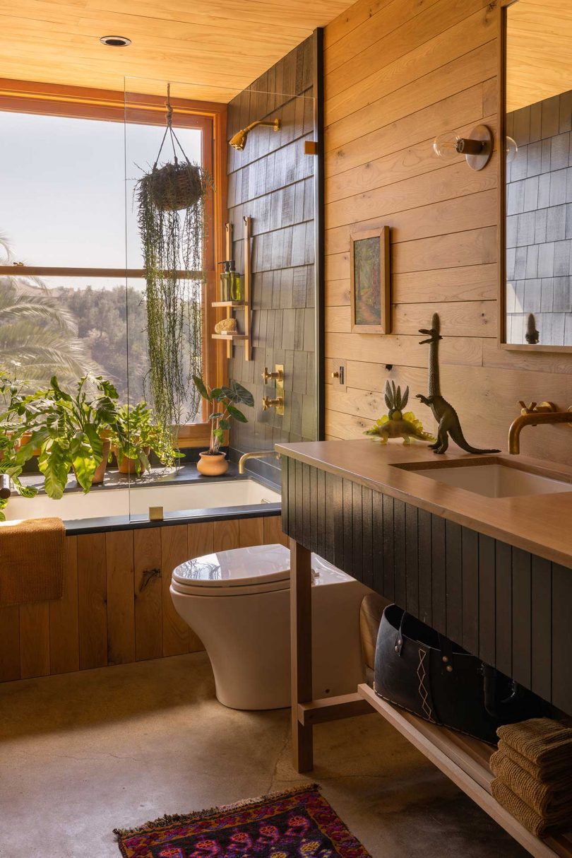 modern mountain house bathroom with wood walls and large window facing mountains