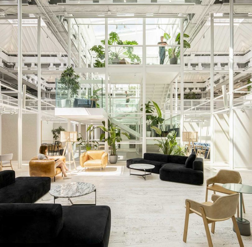 A Bank Becomes an Open Architecture Firm Full of Biophilic Elements