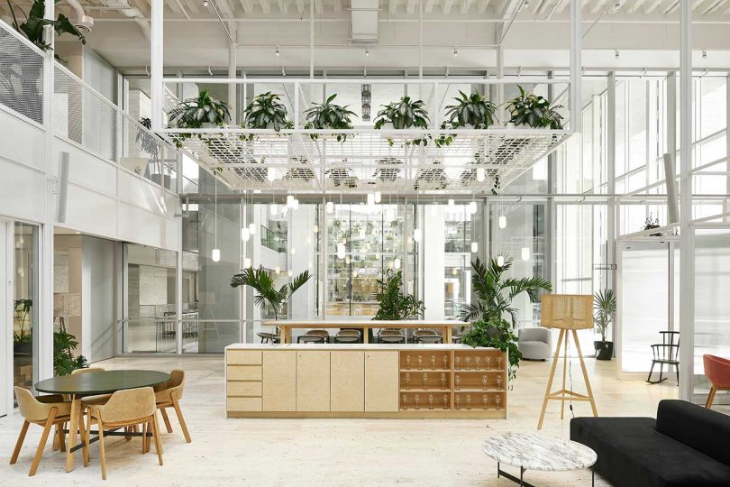 A Bank Becomes an Open Creative Agency Full of Biophilic Elements
