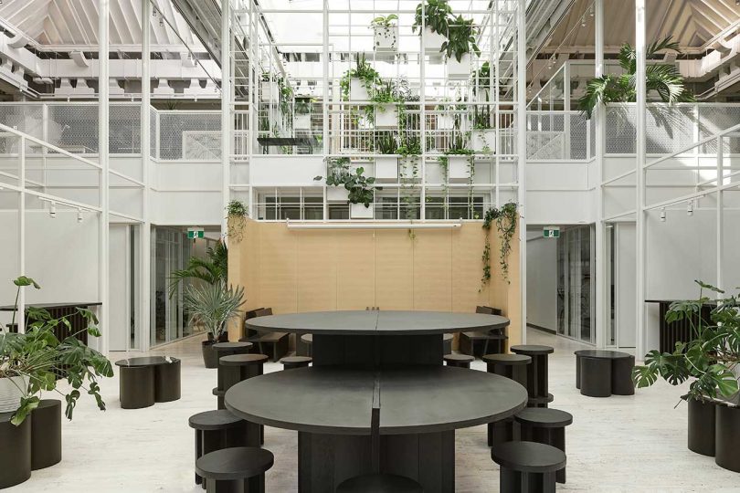 فضای داخلی دفتر باز با زیرساخت سفید و گیاهان در سراسر