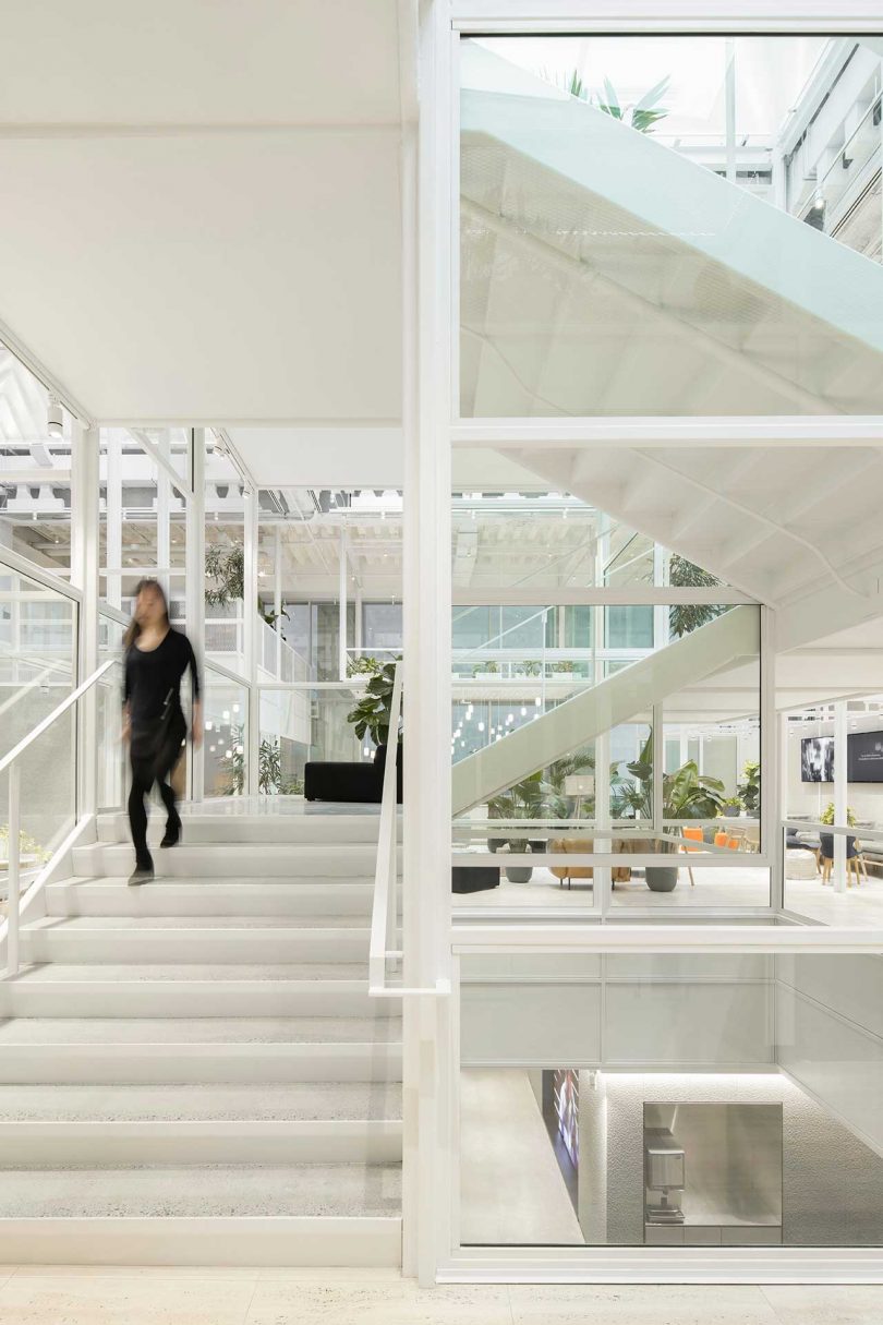 open office interior with white infrastructure and plants throughout