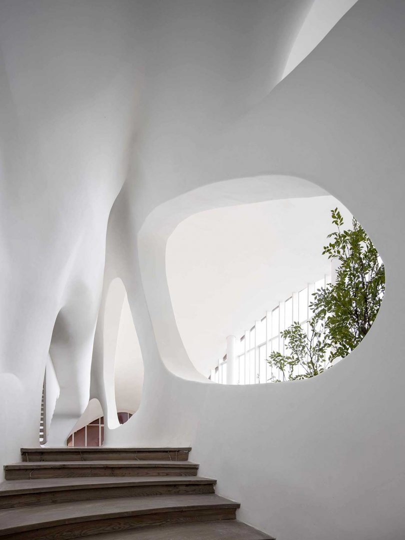 interior shot of massive restaurant with undulating white surfaces and a forest of plants