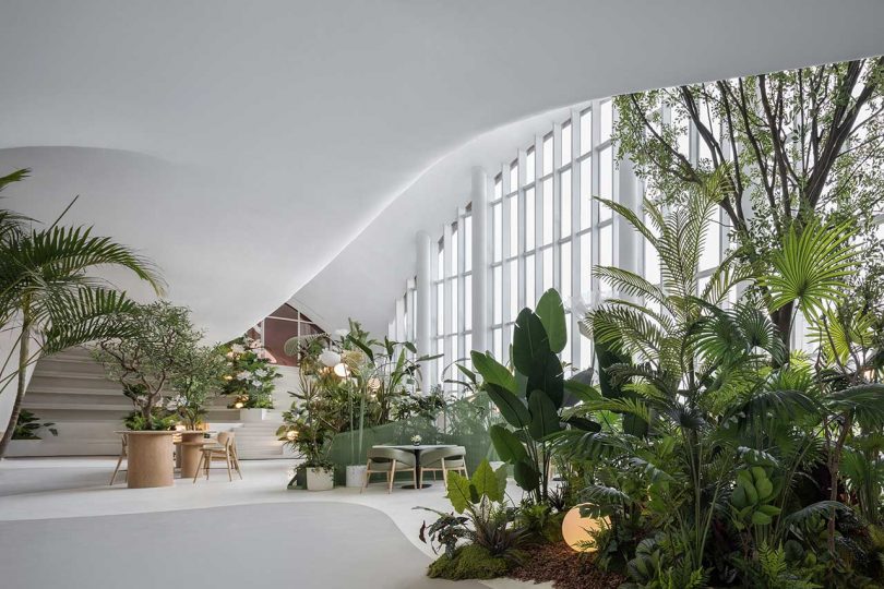 interior shot of massive restaurant with undulating white surfaces and a forest of plants