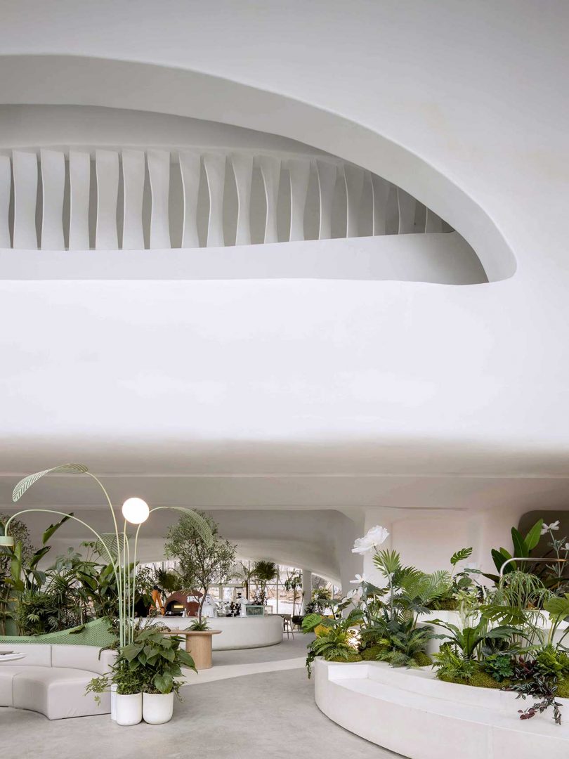 interior shot of massive restaurant with undulating white surfaces and a forest of plants