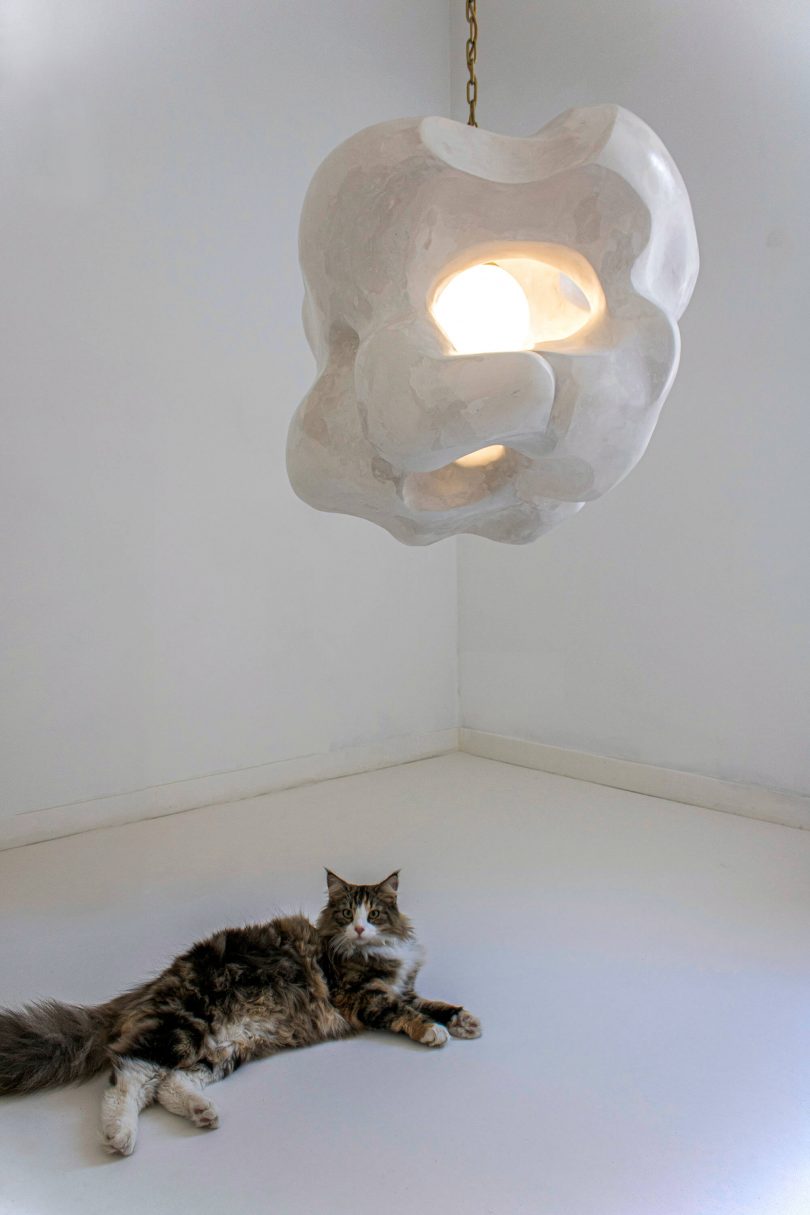 cat under white sculptural gypsum light