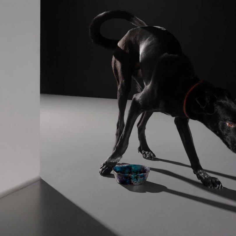 dark image with black dog standing at weird angle with dog bowl on ground