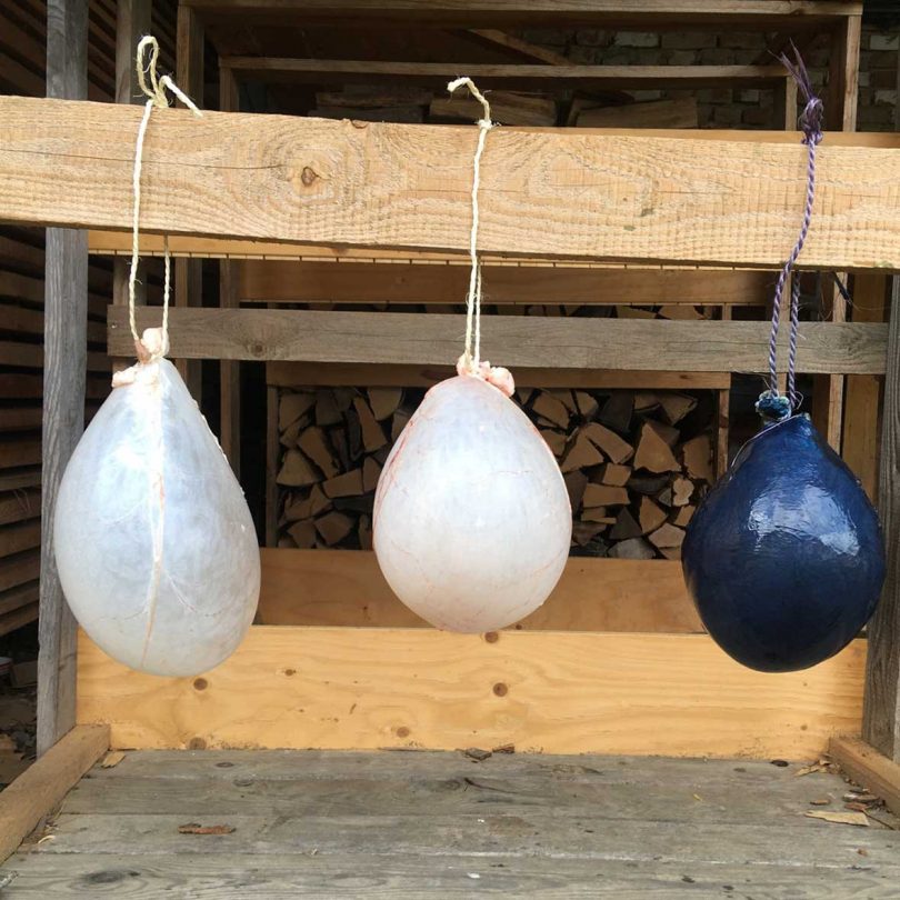 three balloon-like objects hanging to dry on wood stud
