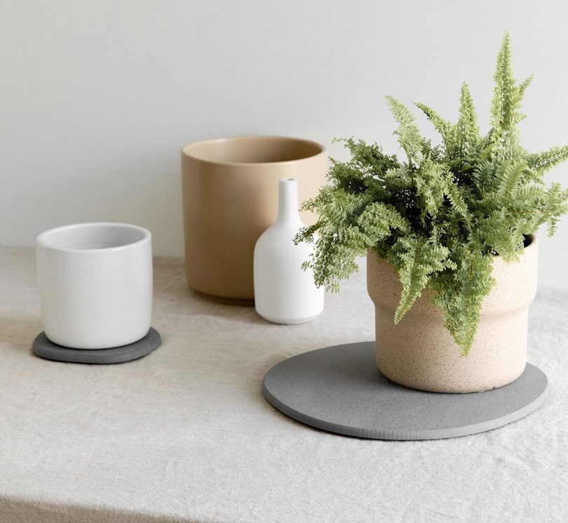 Instant-drying Plant Saucers. Created with diatomaceous earth with small fern on large saucer.