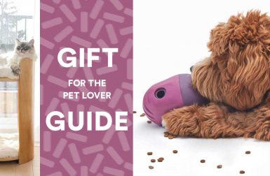 2022 Best Modern Holiday Gifts for Pets + Pet Lovers
