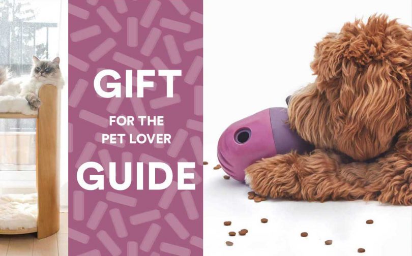gift guide header for the pet lover