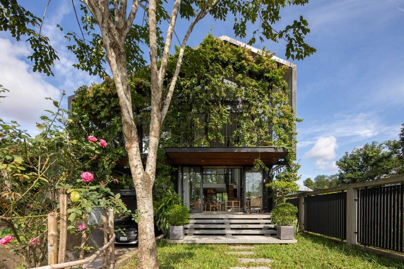 exterior shot of modern house covered in greenery