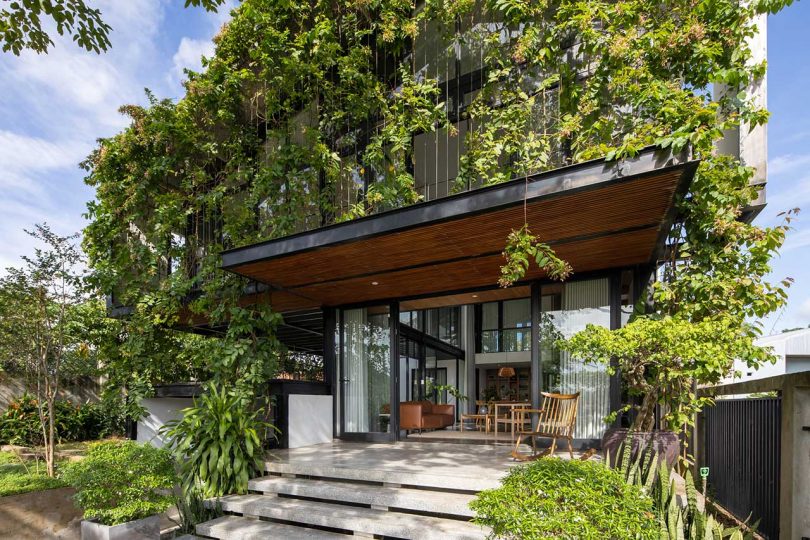 angled exterior shot of modern house covered in greenery