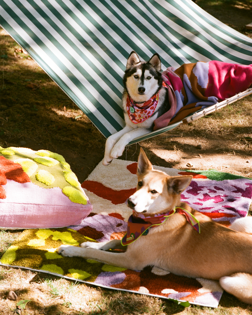 two dogs surrounded by dog beds, rugs, and blankets lay on the ground and in a hammock outdoors