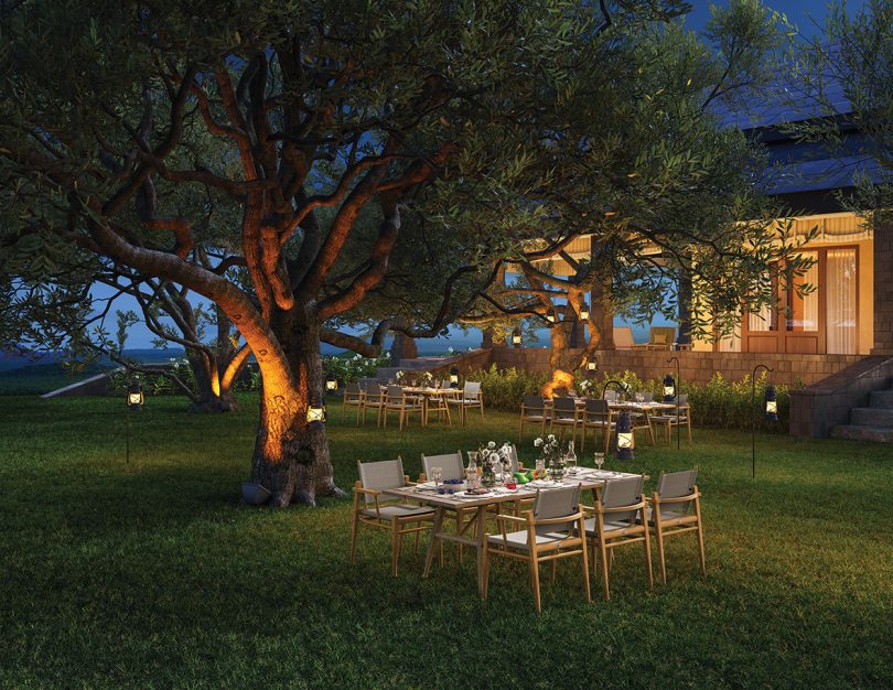 dining table and chairs styled outdoors under a large tree at sunset