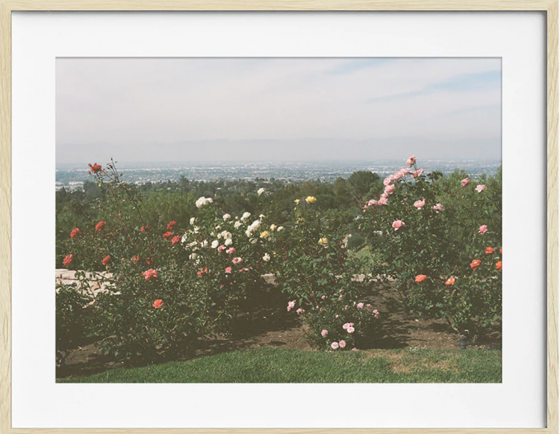 framed image of flowering bushes