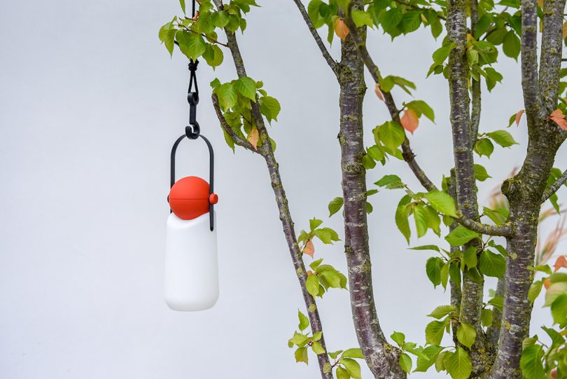portable lamp with a white base, red top, and black strap handle hanging on a tree branch