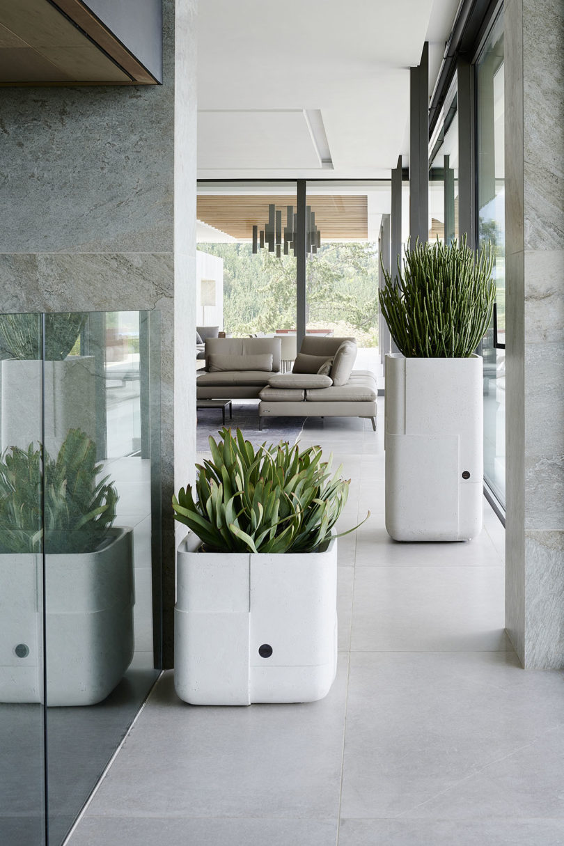 three large white modern planters styled indoors