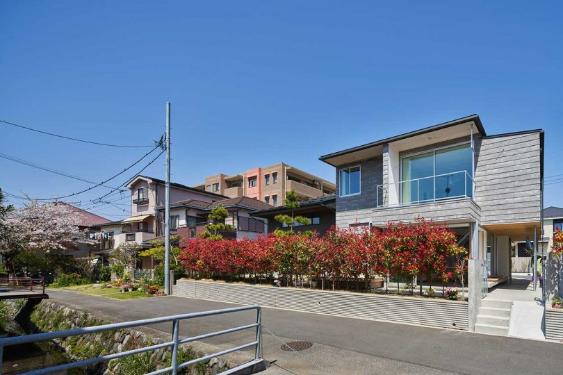 exterior of modern gray house in Japan with row of red blooming plants in front