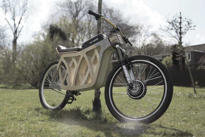 electric bike with plywood frame