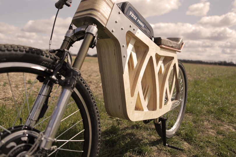 electric bike with plywood frame